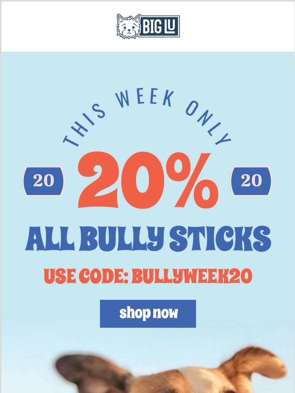 Last Chance for 20% OFF All Bully Sticks! Expires Tonight!
