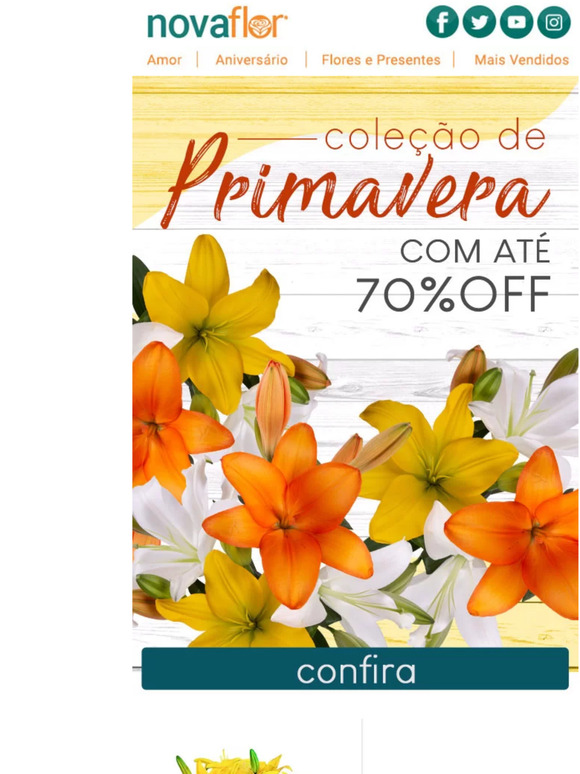 A Coleção Primavera está a todo o vapor! 💨