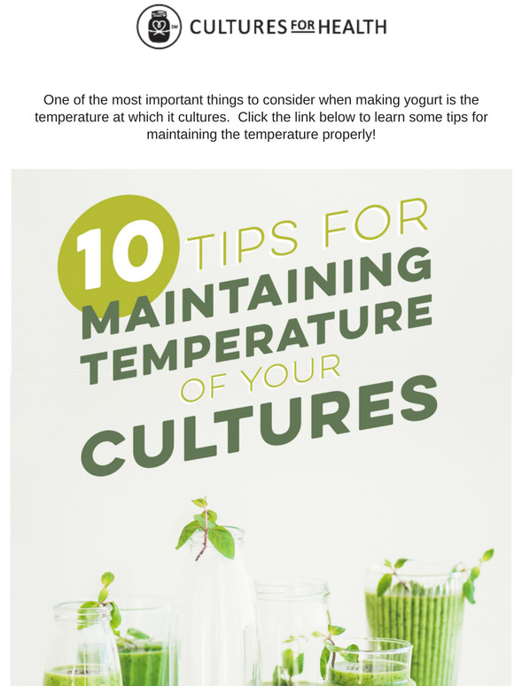 Cultures for Health 10 Tips for Maintaining Temperature of Yogurt
