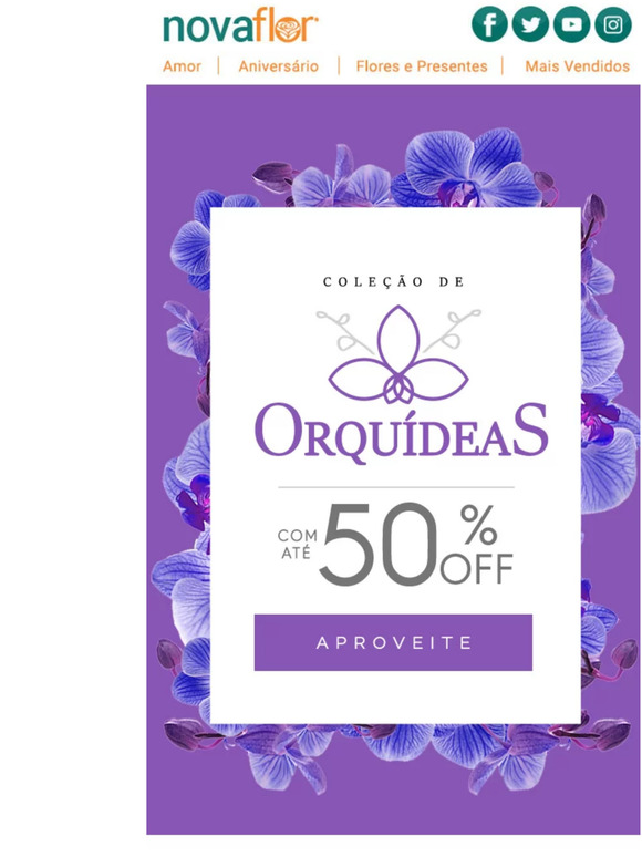 Até 50% Off nessas Flores desejadas 😲