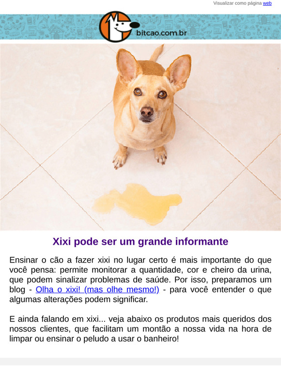 Olhe o xixi do seu peludo 👀