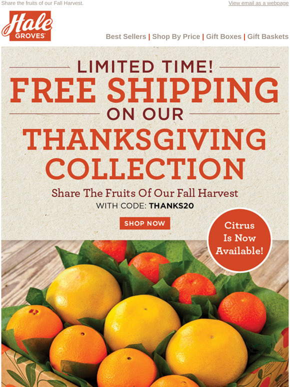 Hale Groves Limited Time! FREE SHIPPING on our Thanksgiving Collection