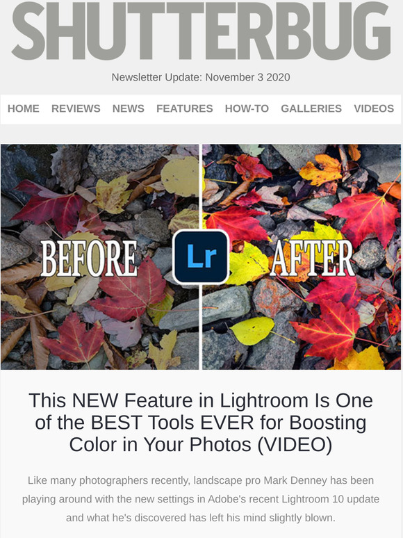 Shutterbug Newsletter: Game-Changing New Lightroom Feature; Hilarious Wildlife Comedy Winners; 5 Great Posing Tips