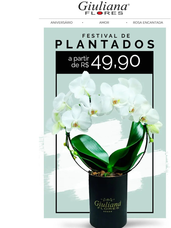 Plantados de Tirar o Fôlego! 🌱