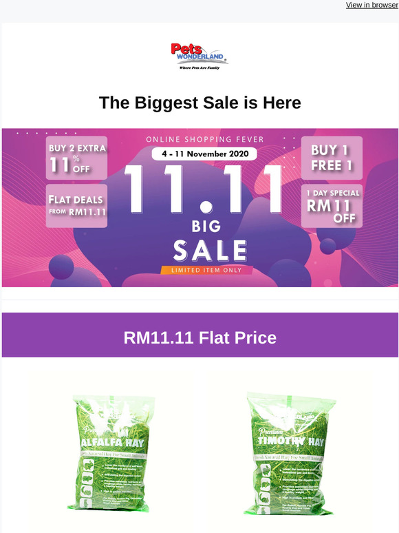 11.11 The BIG Sale is Here 📣