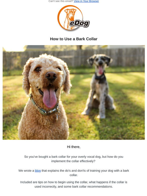 how to use a bark collar effectively