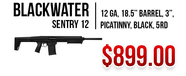Blackwater Sentry 12 available at Impact Guns!