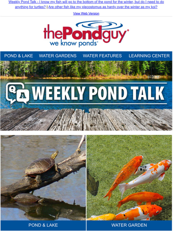 The Pond Guy Weekly Pond Talk Turtle Hideouts Pond Lighting Milled