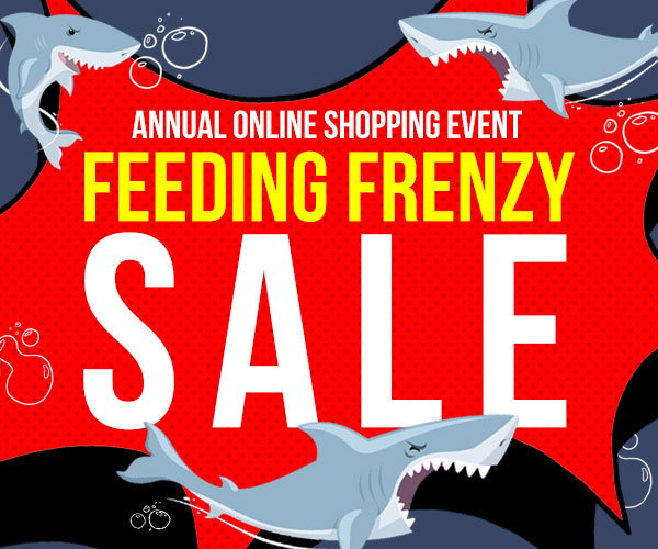 feeding frenzy 1 online