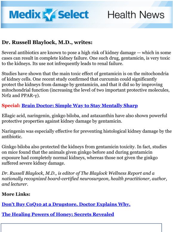 dr blaylock wellness report