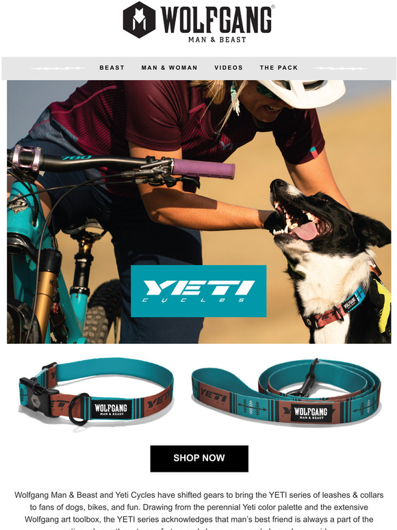 man and beast dog collar