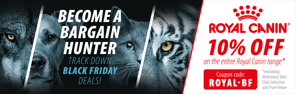 best leash to stop dog pulling