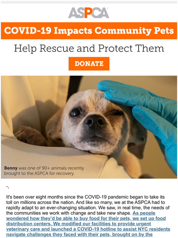 Aspca Counting On You During The Pandemic Milled