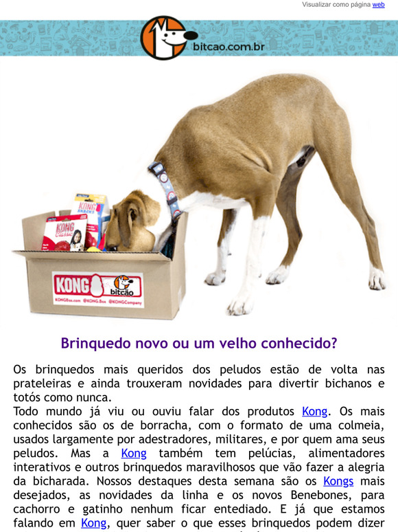 O que um Kong diz sobre o seu peludo?
