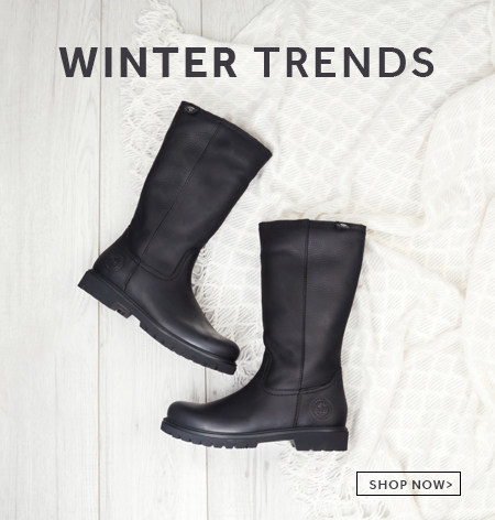 charles clinkard womens boots