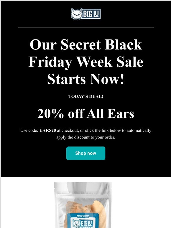 Secret Black Friday Sale Week Starts Now!