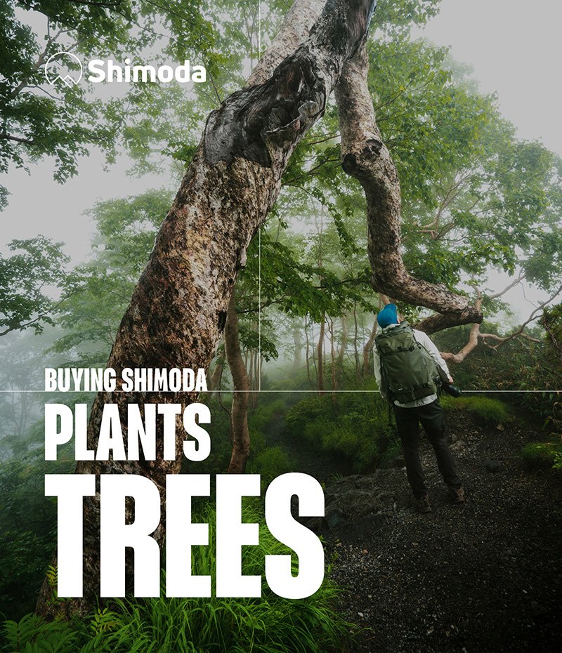Buying Shimoda plants trees!