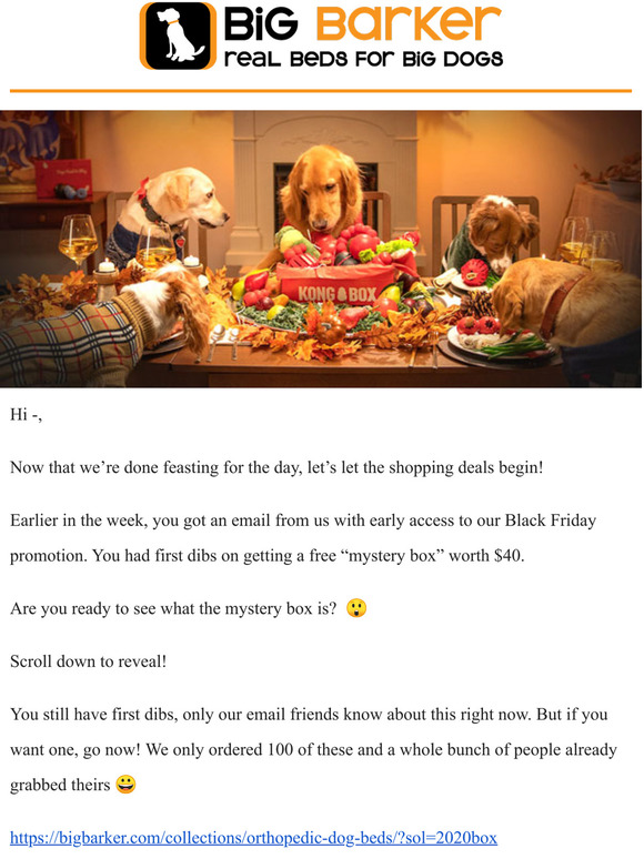 big barker black friday