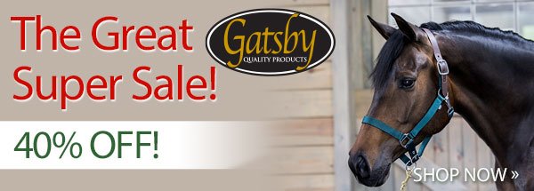 The Great Gatsby® Super Sale!