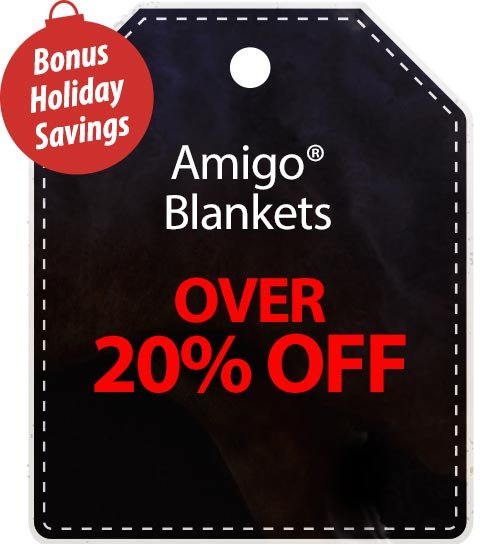 Over 20% off Amigo® Blankets