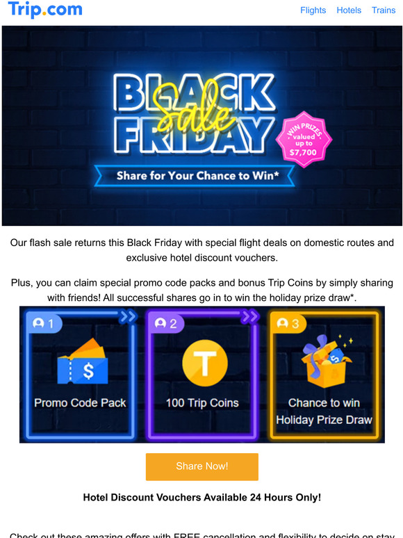 Black Friday 🎁FLASH SALE!