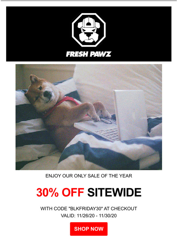 🔥ITS TIME TO SPOIL YOUR PUP🔥 30% OFF SITEWIDE