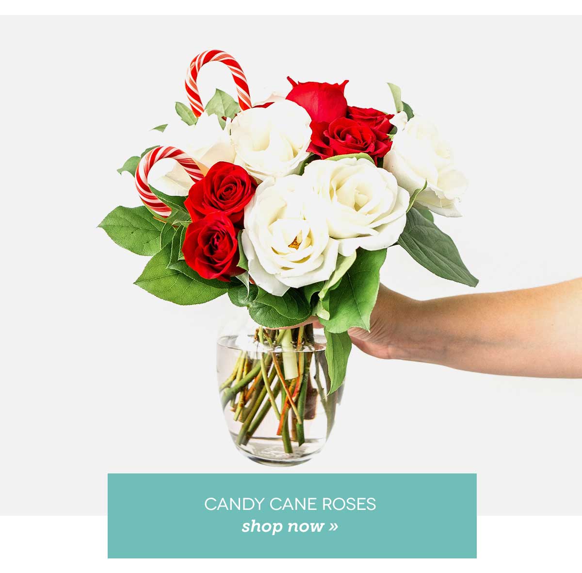 Is A Legitimate Company at Ethel Taylor blog