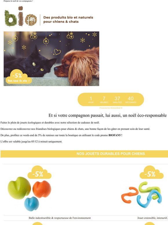Un noël éco-responsable pour votre compagnon à 4 pattes !