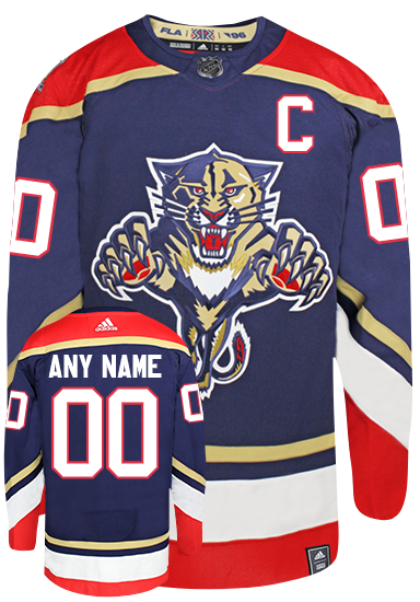 reverse retro panthers jersey