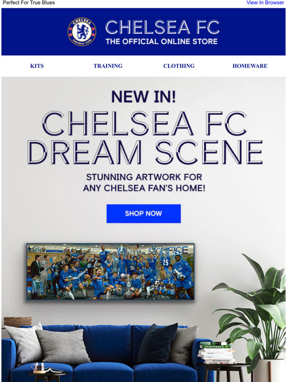 Chelsea Megastore New Chelsea Dream Scene Artwork Milled