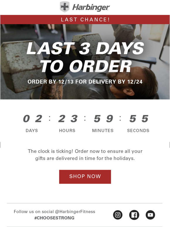 LAST CHANCE! Order in time for the holidays.