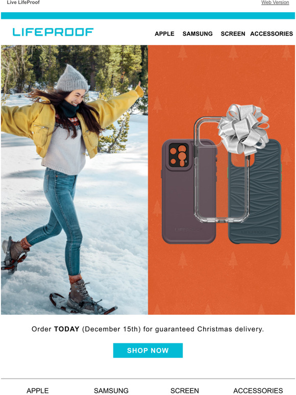Last Chance for Guaranteed Pre-Christmas Delivery.
