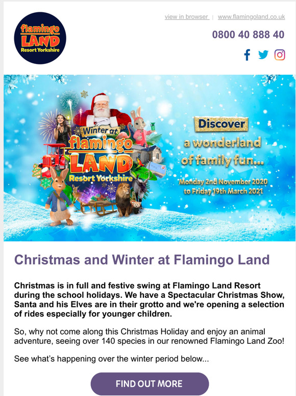 Winter and Christmas at Flamingo Land 🎅🎄⛄