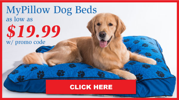 mypillow dog bed stores