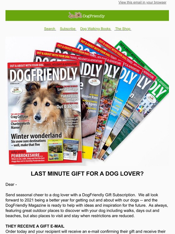 Last Minute Gift For a Dog Lover?