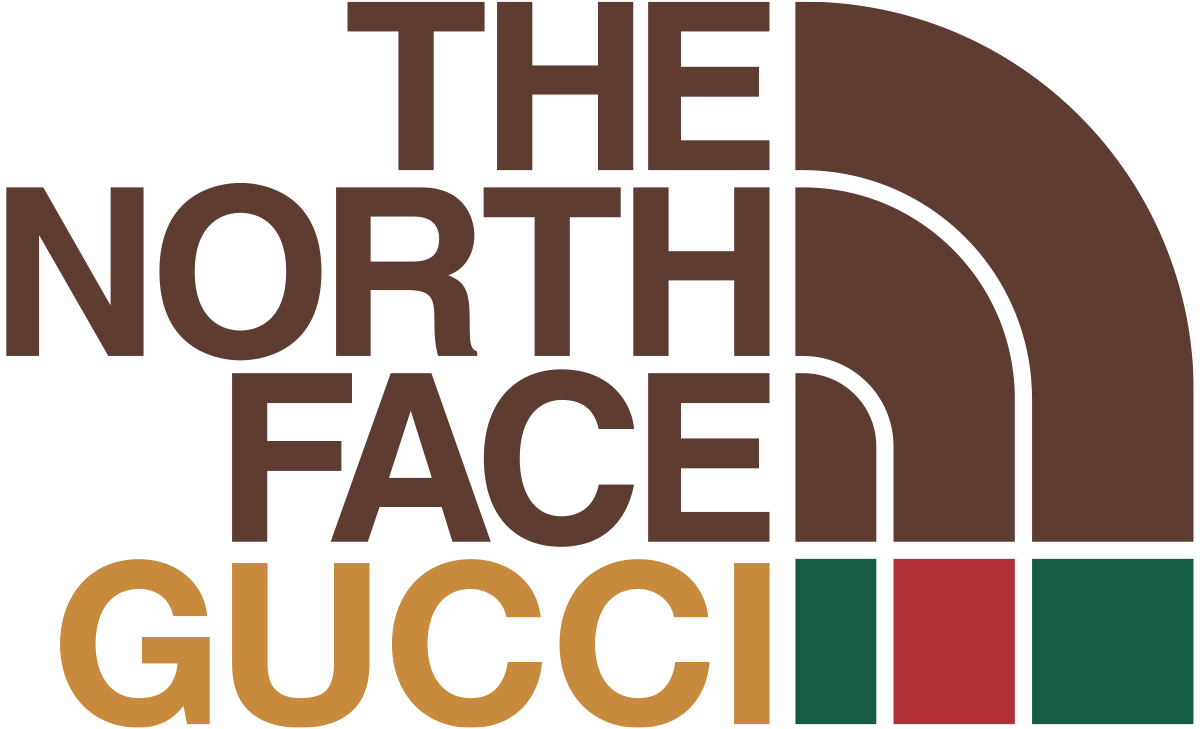 gucci north face draw