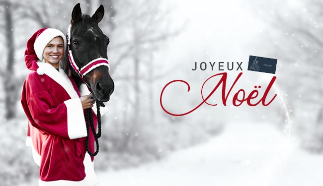 Horze Fr Horze Vous Souhaite Un Joyeux Noel Milled Horze Fr Horze Vous Souhaite Un Joyeux Noel Milled