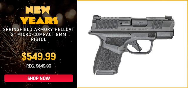 Palmetto State Armory: Masterpiece Arms MPA30T 9mm Pistol $499.99 | Two ETS AR-15 Mags & CAM Mag ...