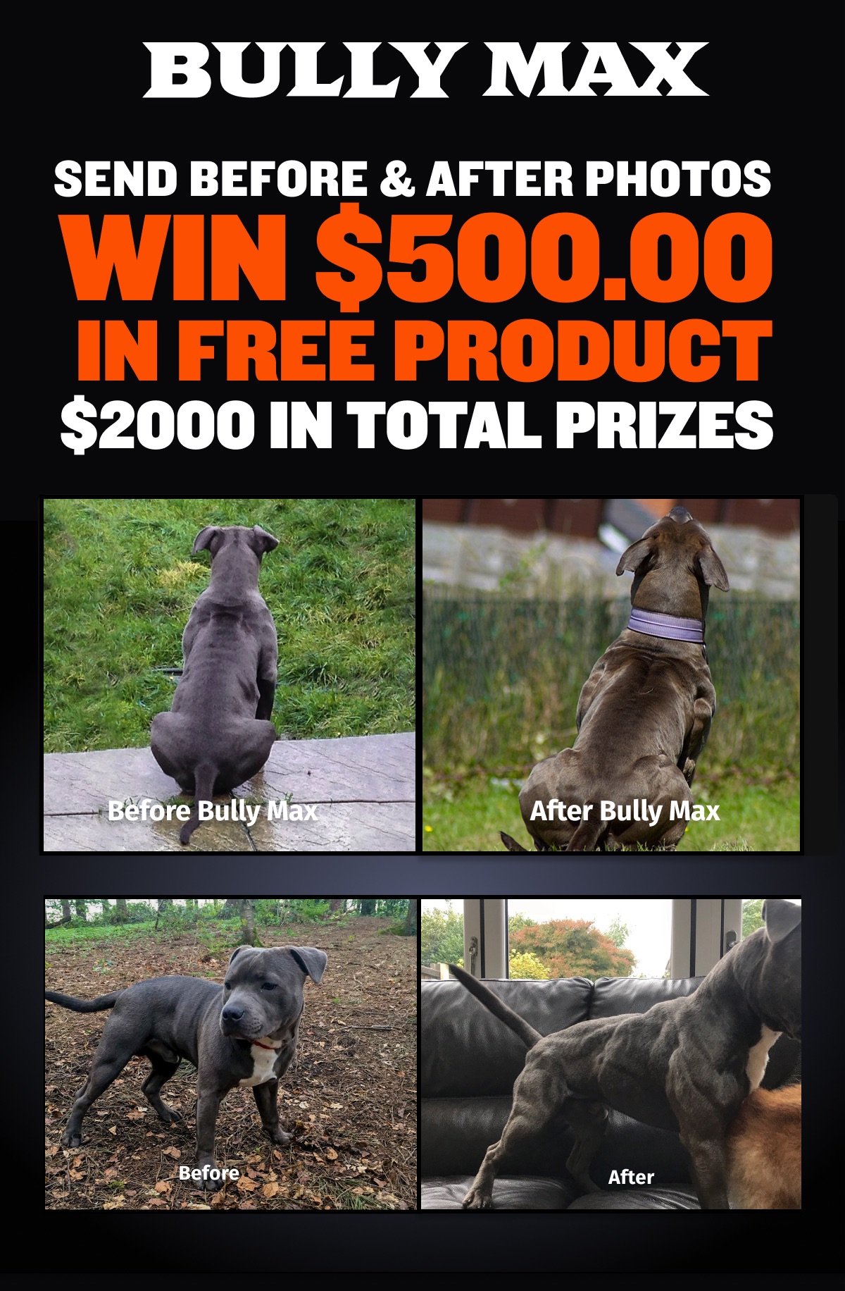 bully max black friday