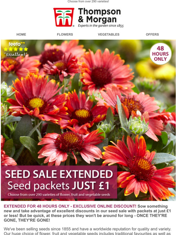 Thompson & SEED PACKETS £1 EACH! EXTENDED 48 HOURS ONLY! Milled