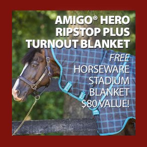 Amigo® Hero Ripstop Plus Turnout Blanket