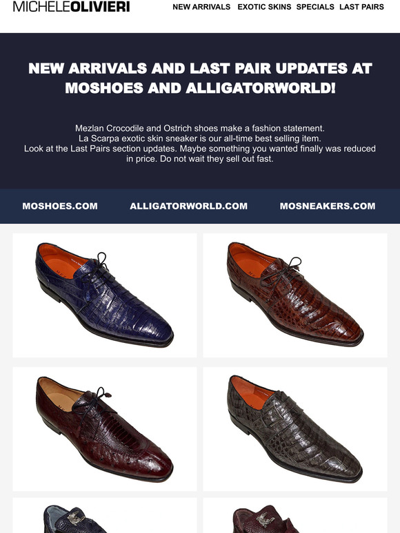 alligatorworld shoes