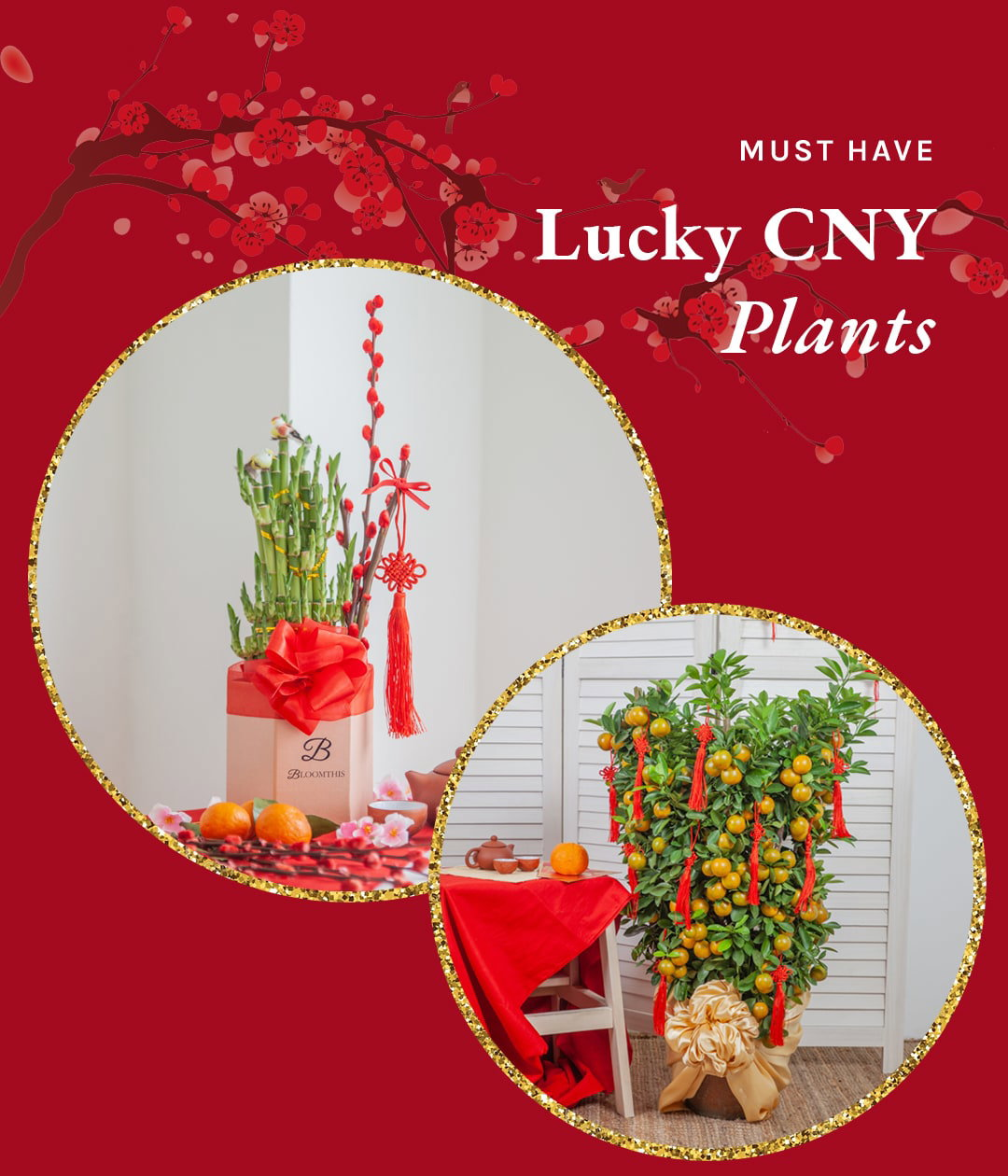 21 Best CNY Decor Ideas To Huat Up Your Home (2023)
