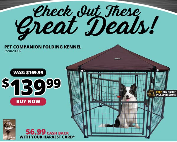 rural king dog crate