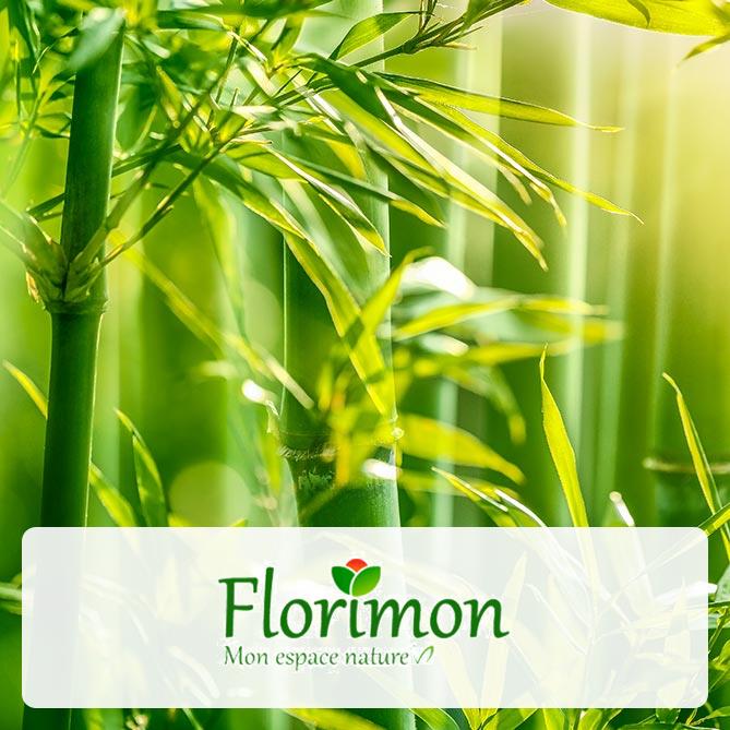 Florimon
