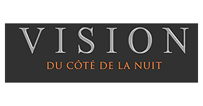Vision