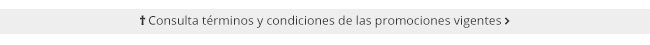 TERMINOS Y CONDICIONES