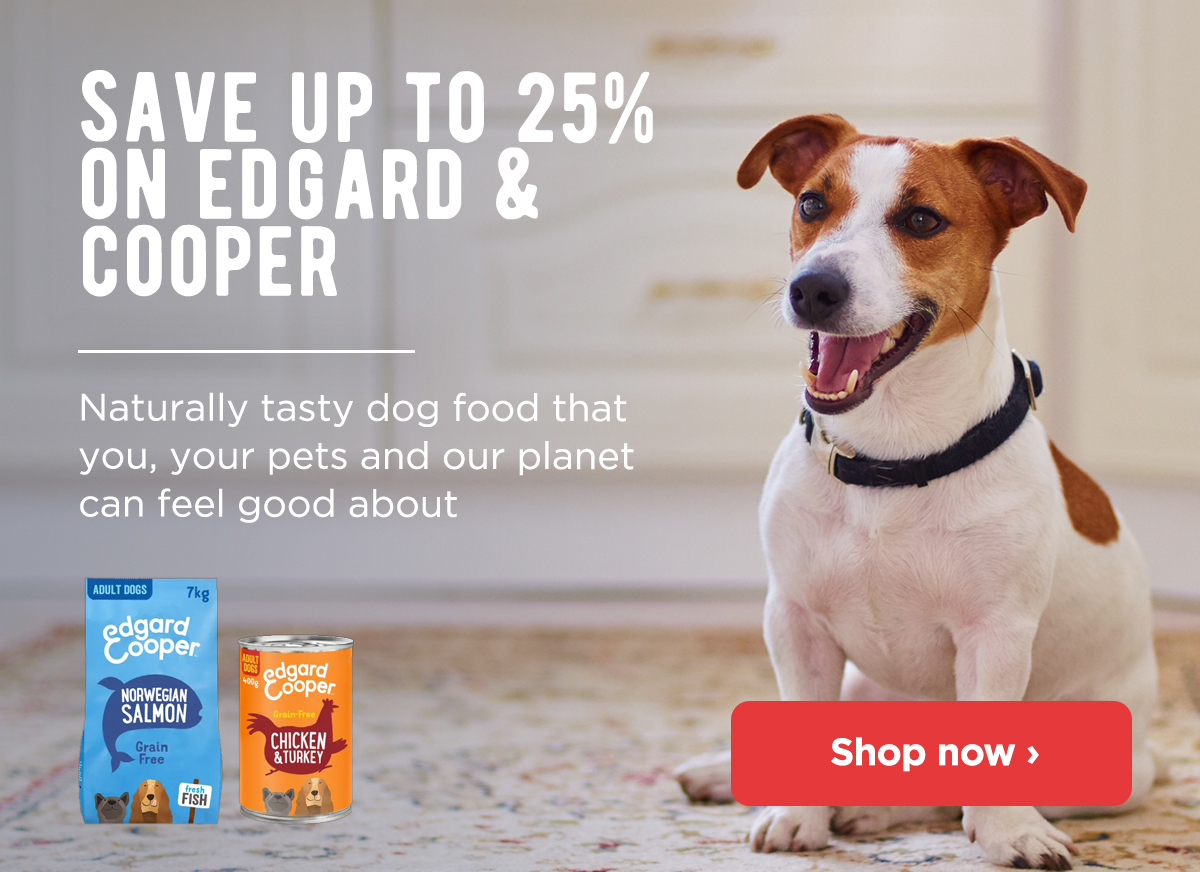 monster pets dog food