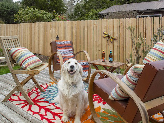 Dogs outside holiday home