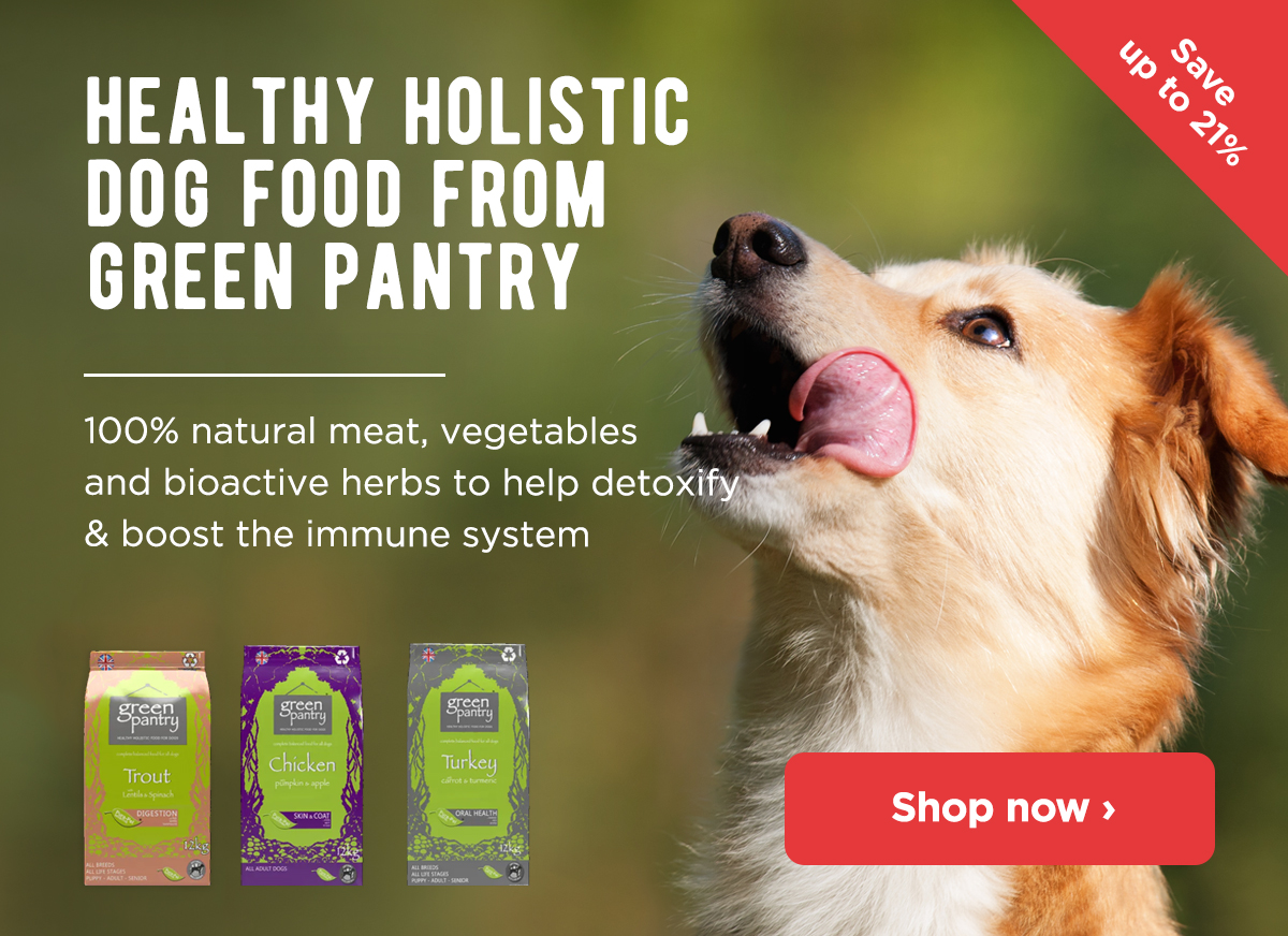 monster pets dog food